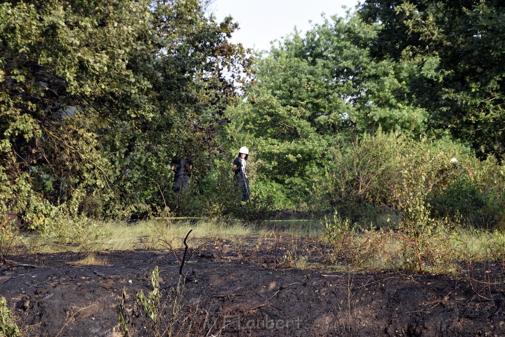 Waldbrand Koeln Hoehenhaus Hoehenfelder Mauspfad P132.JPG - Miklos Laubert